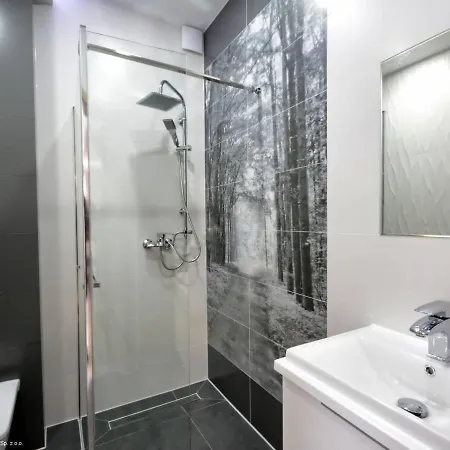 Platinium Affittacamere *